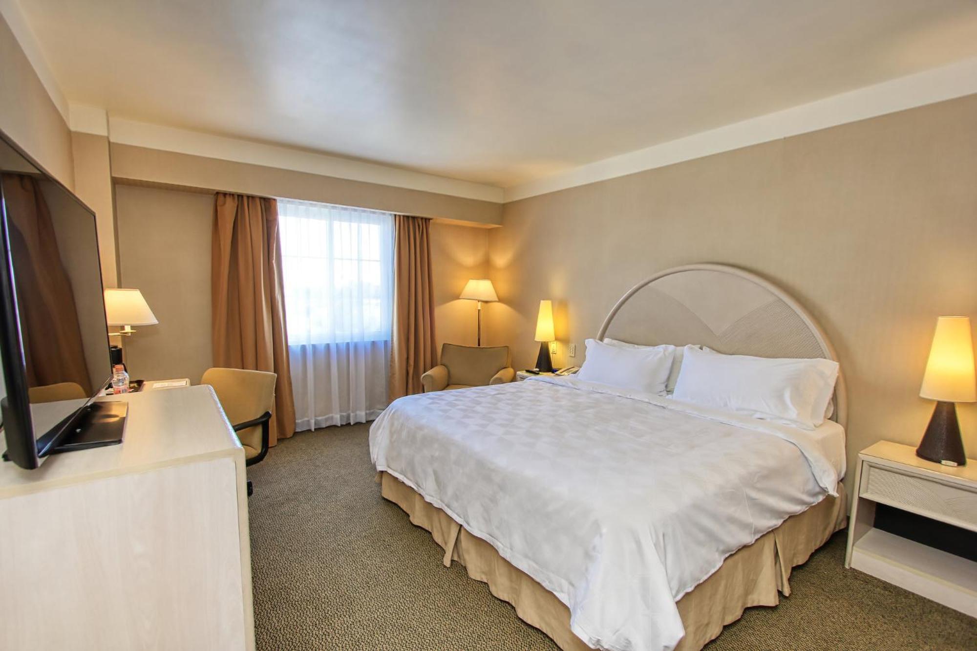 Holiday Inn Leon-Convention Center By Ihg Exterior photo